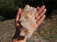 Natural Highly Selected Quartz Clusters (Medium Sized) x 3 From Madagascar - TopRock