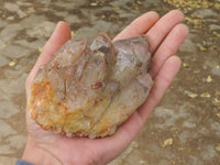 Natural Perfect Selection Of Red Hematoid Phantom Quartz Specimens  x 5 From Karoi, Zimbabwe - TopRock