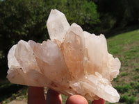 Natural Highly Selected Quartz Clusters (Medium Sized) x 3 From Madagascar - TopRock