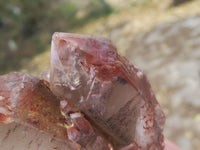 Natural Perfect Selection Of Red Hematoid Phantom Quartz Specimens  x 5 From Karoi, Zimbabwe - TopRock