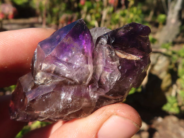 Natural Window Amethyst Crystal Specimens  x 6 From Chiredzi, Zimbabwe