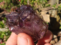 Natural Window Amethyst Crystal Specimens  x 6 From Chiredzi, Zimbabwe