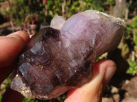 Natural Window Amethyst Crystal Specimens  x 6 From Chiredzi, Zimbabwe