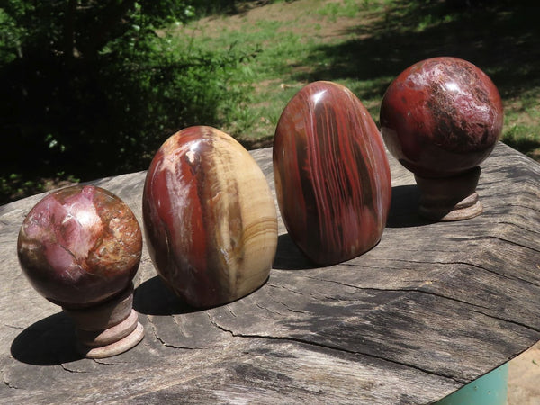 Polished Petrified Red Podocarpus Wood Spheres & Standing Free Forms  x 6 From Madagascar - TopRock