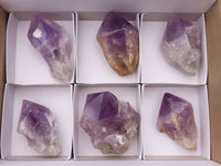 Natural Jacaranda Amethyst Clusters  x 6 From Mumbwa, Zambia - Toprock Gemstones and Minerals 