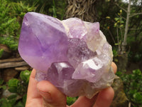 Natural Jacaranda Amethyst Clusters  x 6 From Mumbwa, Zambia - Toprock Gemstones and Minerals 