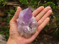 Natural Jacaranda Amethyst Clusters  x 6 From Mumbwa, Zambia - Toprock Gemstones and Minerals 