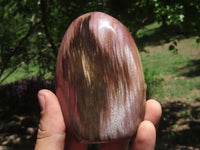 Polished Petrified Red Podocarpus Wood Spheres & Standing Free Forms  x 6 From Madagascar - TopRock