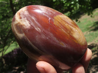 Polished Petrified Red Podocarpus Wood Spheres & Standing Free Forms  x 6 From Madagascar - TopRock