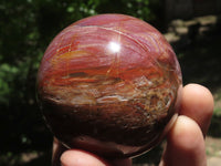 Polished Petrified Red Podocarpus Wood Spheres & Standing Free Forms  x 6 From Madagascar - TopRock