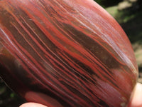 Polished Petrified Red Podocarpus Wood Spheres & Standing Free Forms  x 6 From Madagascar - TopRock