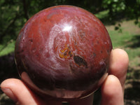 Polished Petrified Red Podocarpus Wood Spheres & Standing Free Forms  x 6 From Madagascar - TopRock