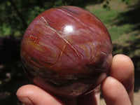 Polished Petrified Red Podocarpus Wood Spheres & Standing Free Forms  x 6 From Madagascar - TopRock