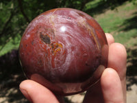 Polished Petrified Red Podocarpus Wood Spheres & Standing Free Forms  x 6 From Madagascar - TopRock