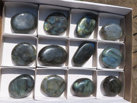 Polished Flashy Blue & Gold Labradorite Gallets  x 12 From Tulear, Madagascar - TopRock