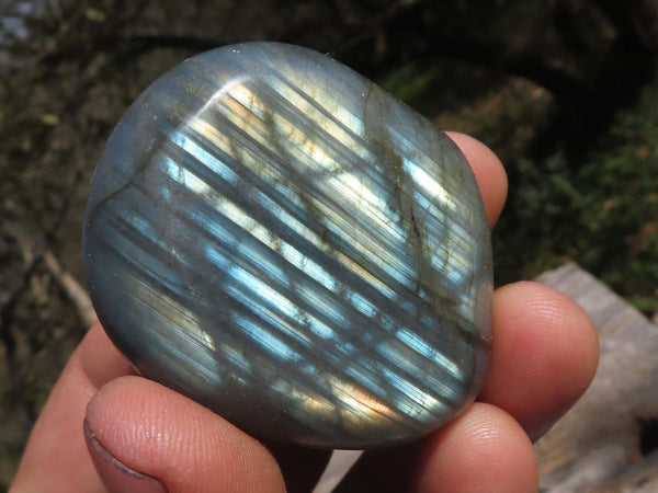 Polished Flashy Blue & Gold Labradorite Gallets  x 12 From Tulear, Madagascar - TopRock