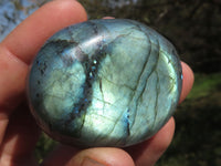 Polished Flashy Blue & Gold Labradorite Gallets  x 12 From Tulear, Madagascar - TopRock