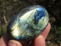 Polished Flashy Blue & Gold Labradorite Gallets  x 12 From Tulear, Madagascar - TopRock