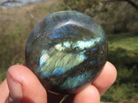 Polished Flashy Blue & Gold Labradorite Gallets  x 12 From Tulear, Madagascar - TopRock