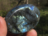 Polished Flashy Blue & Gold Labradorite Gallets  x 12 From Tulear, Madagascar - TopRock