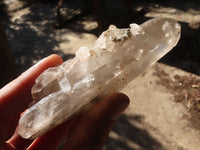 Natural Clear Quartz Crystal Specimens  x 6 From Madagascar