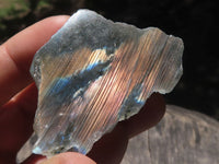 Polished One Side Polished Labradorite Slices  x 30 From Tulear, Madagascar - TopRock