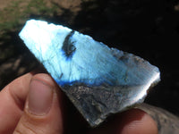 Polished One Side Polished Labradorite Slices  x 30 From Tulear, Madagascar - TopRock