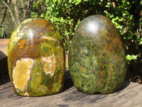 Polished Green Opal Standing Free Forms  x 2 From Madagascar - Toprock Gemstones and Minerals 