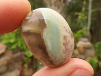 Polished Coral Flower Agate Galets (Palm Stones)  - Sold per 1 kg - From Madagascar - Toprock Gemstones and Minerals 