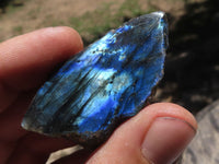 Polished One Side Polished Labradorite Slices  x 30 From Tulear, Madagascar - TopRock