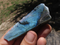 Polished One Side Polished Labradorite Slices  x 30 From Tulear, Madagascar - TopRock