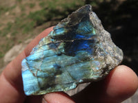 Polished One Side Polished Labradorite Slices  x 30 From Tulear, Madagascar - TopRock