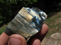 Polished One Side Polished Labradorite Slices  x 30 From Tulear, Madagascar - TopRock