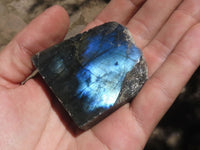 Polished One Side Polished Labradorite Slices  x 30 From Tulear, Madagascar - TopRock