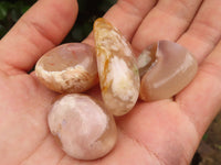 Polished Coral Flower Agate Galets (Palm Stones)  - Sold per 1 kg - From Madagascar - Toprock Gemstones and Minerals 