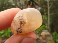 Polished Coral Flower Agate Galets (Palm Stones)  - Sold per 1 kg - From Madagascar - Toprock Gemstones and Minerals 