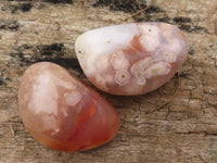 Polished Coral Flower Agate Galets (Palm Stones)  - Sold per 1 kg - From Madagascar - Toprock Gemstones and Minerals 