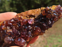 Natural Dark "Amethystos" Amethyst Clusters x 9 From Kwaggafontein, South Africa - TopRock