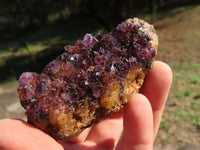 Natural Dark "Amethystos" Amethyst Clusters x 9 From Kwaggafontein, South Africa - TopRock