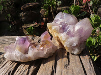 Natural Jacaranda Amethyst Clusters  x 2 From Zambia - Toprock Gemstones and Minerals 