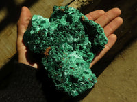 Natural Chatoyant Silky Malachite Specimens  x 2 From Kasompe, Congo