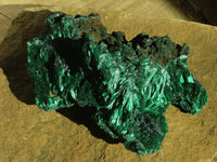 Natural Chatoyant Silky Malachite Specimens  x 2 From Kasompe, Congo