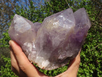 Natural Jacaranda Amethyst Clusters  x 2 From Zambia - Toprock Gemstones and Minerals 