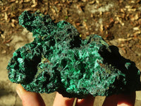 Natural Chatoyant Silky Malachite Specimens  x 2 From Kasompe, Congo