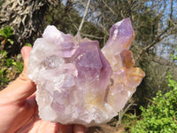 Natural Jacaranda Amethyst Clusters  x 2 From Zambia - Toprock Gemstones and Minerals 