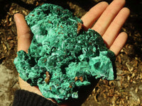 Natural Chatoyant Silky Malachite Specimens  x 2 From Kasompe, Congo