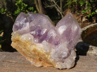 Natural Jacaranda Amethyst Clusters  x 2 From Zambia - Toprock Gemstones and Minerals 