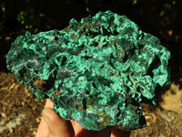 Natural Chatoyant Silky Malachite Specimens  x 2 From Kasompe, Congo