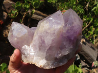 Natural Jacaranda Amethyst Clusters  x 2 From Zambia - Toprock Gemstones and Minerals 