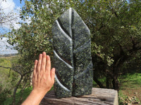 Polished Giant Stromatolite Standing Leaf Sculpture x 1 From Mahajanga, Madagascar - TopRock